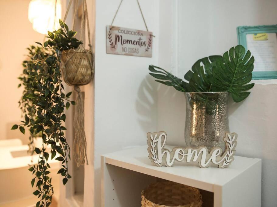 Apartamento Apto En Centro Setas *